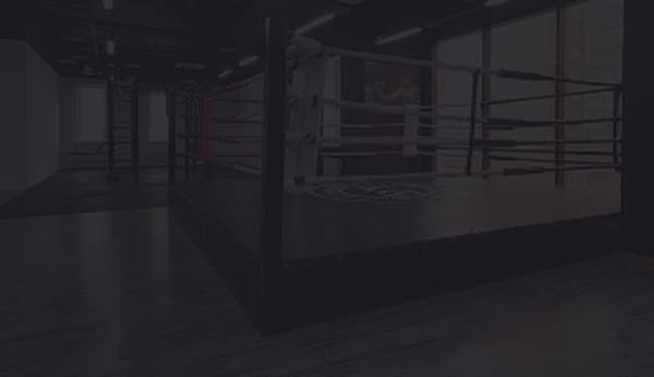 Profesionální ring